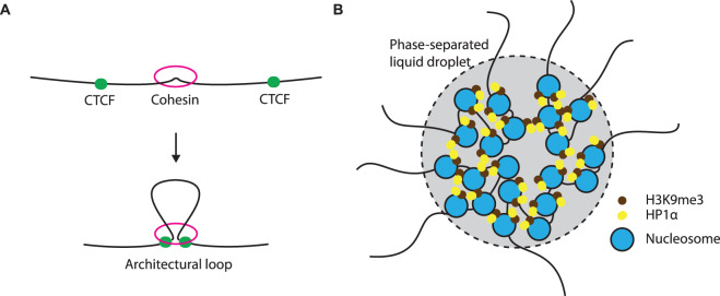 Figure 1.