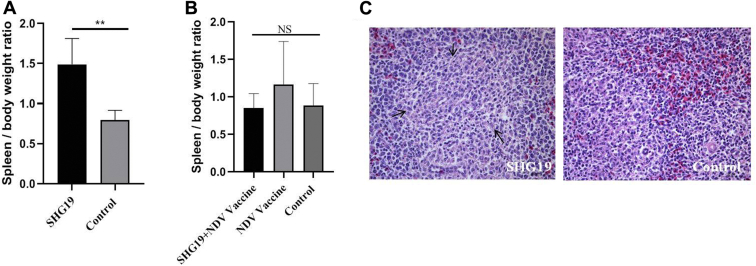 Figure 3