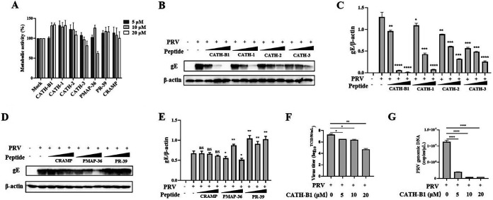 FIG 1
