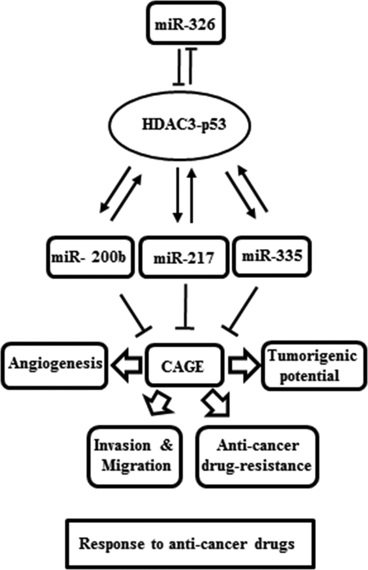 FIGURE 18.