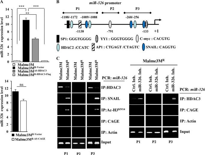 FIGURE 12.