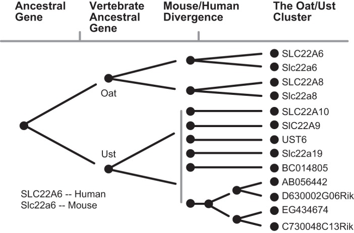 FIGURE 9.