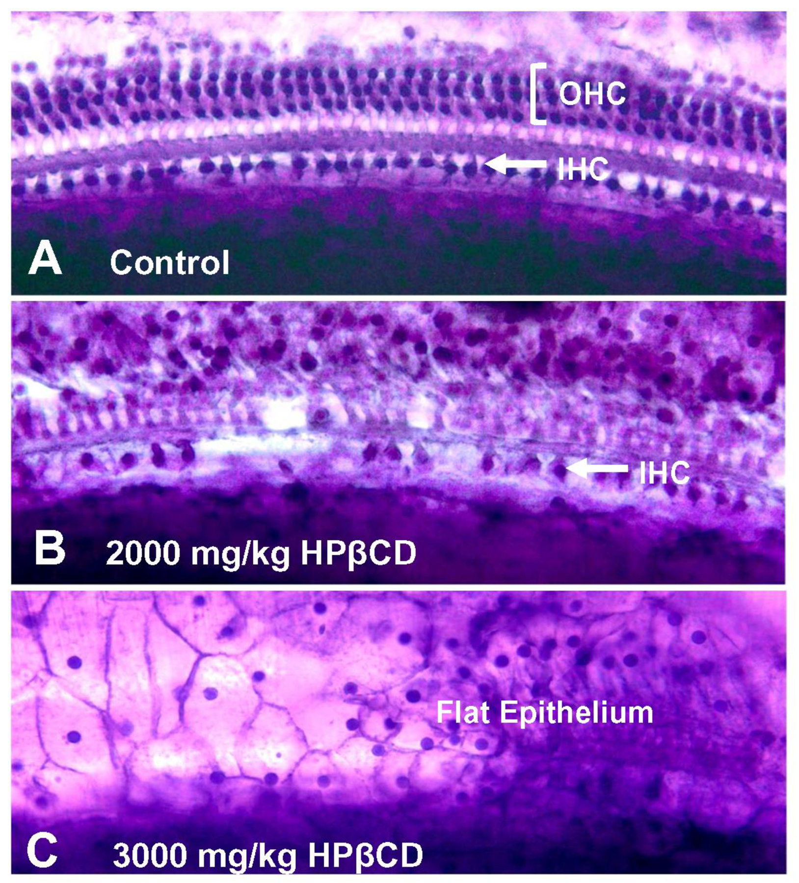 Figure 10: