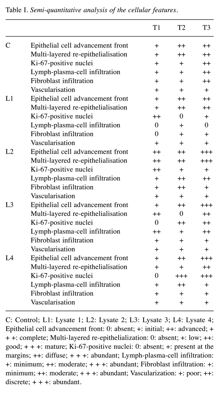 graphic file with name in_vivo-37-2499-i0001.jpg