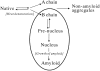 Fig. 11.