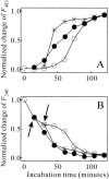 Fig. 9.