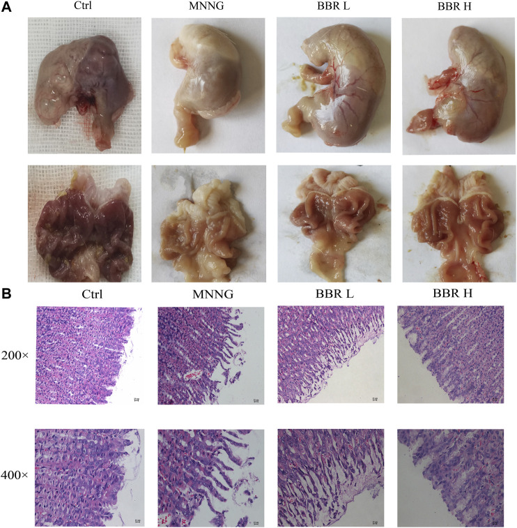 FIGURE 4