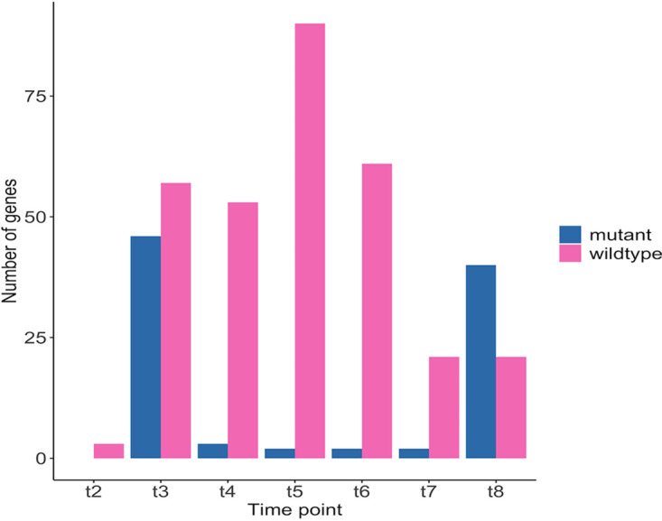 FIG 6