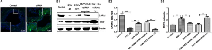 FIG 2