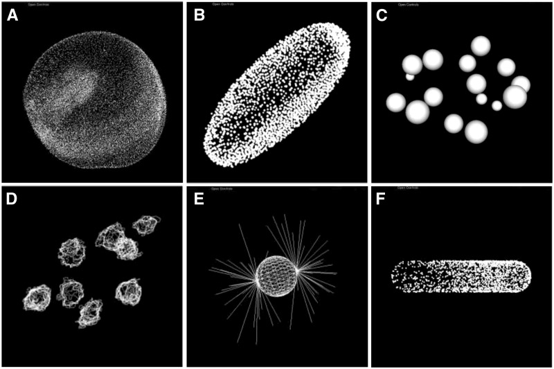 Fig. 2.