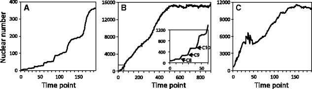 Fig. 7.