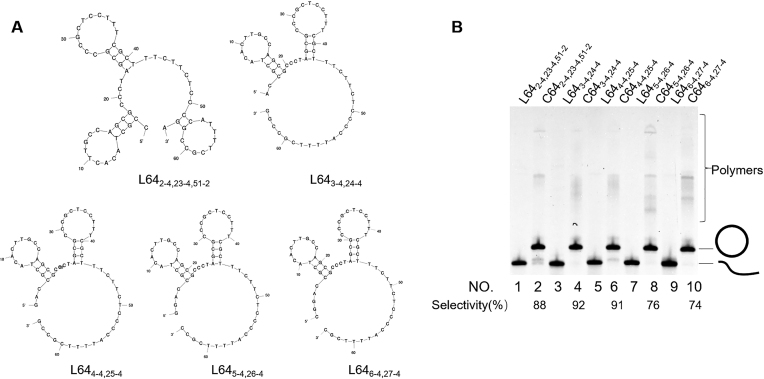 Figure 4.