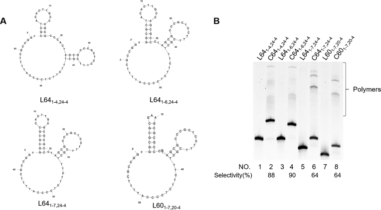 Figure 5.