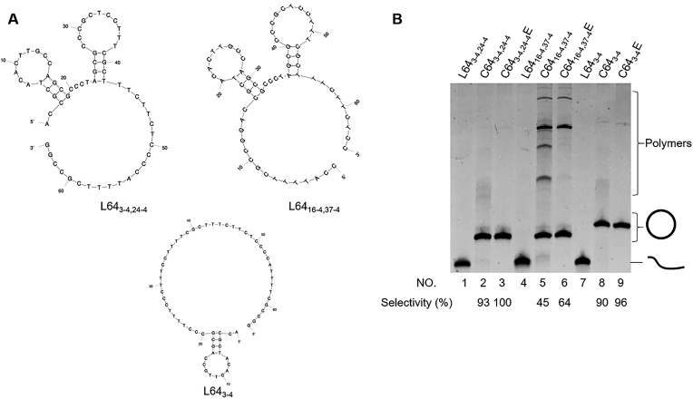 Figure 2.