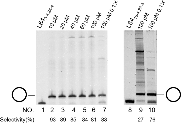 Figure 7.