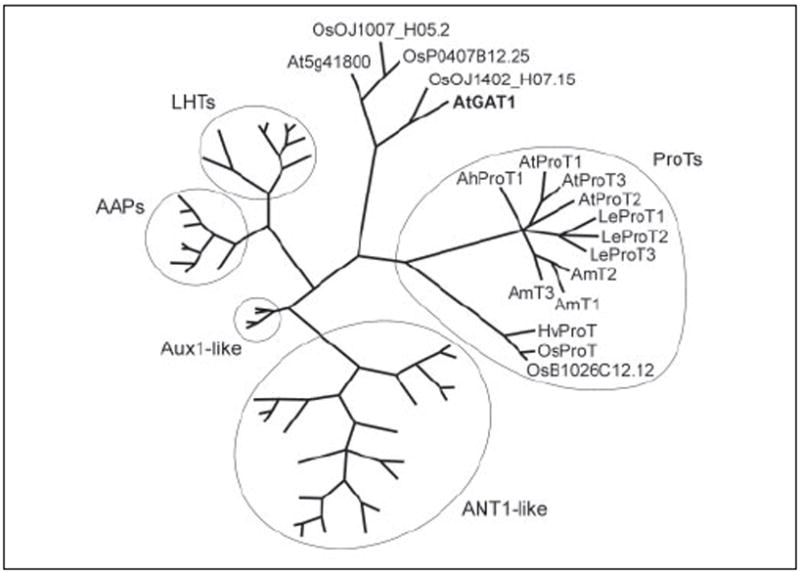 FIGURE 1