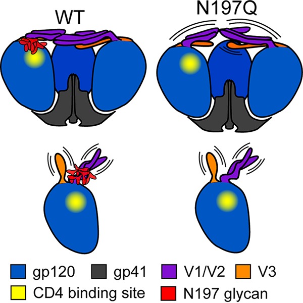 FIG 6