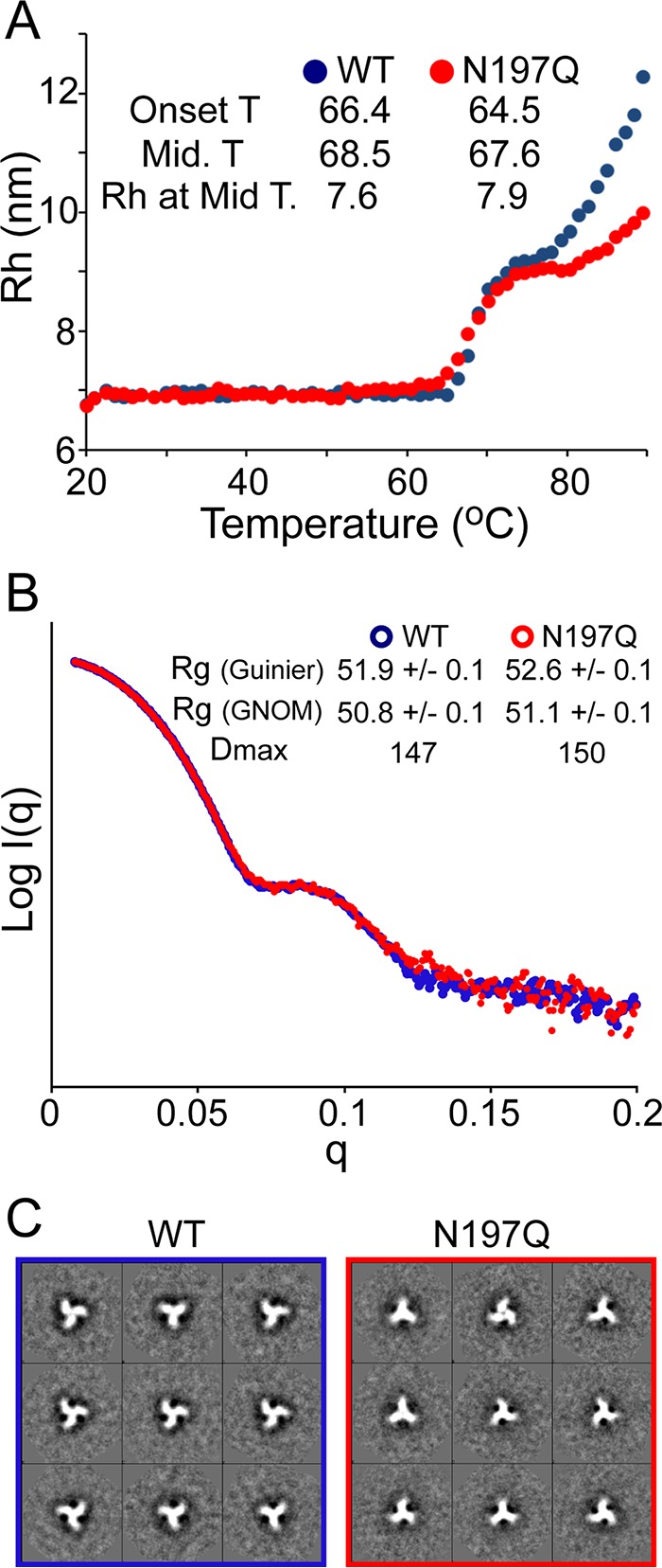 FIG 2