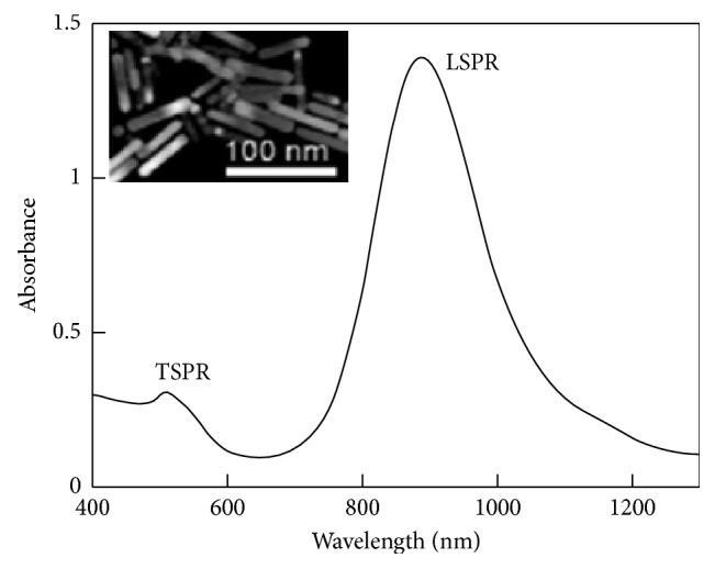 Figure 10