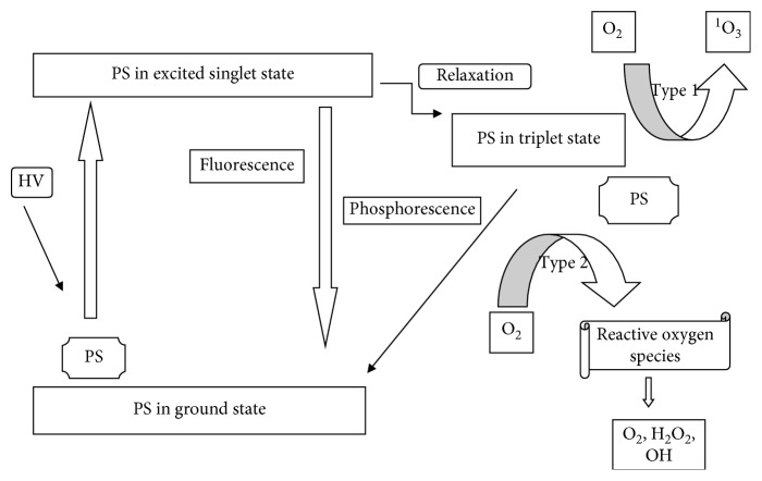 Figure 17