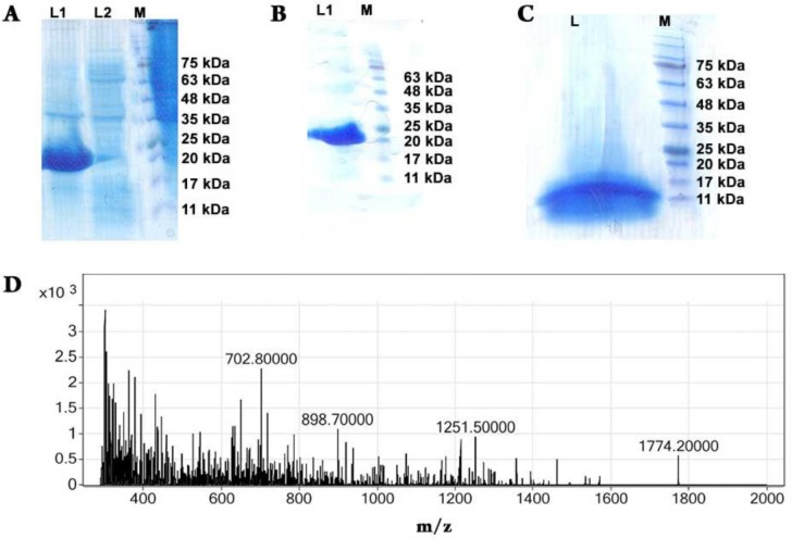 Figure 2.