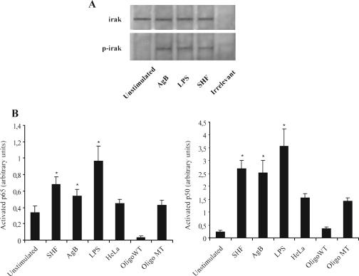 FIG. 8.