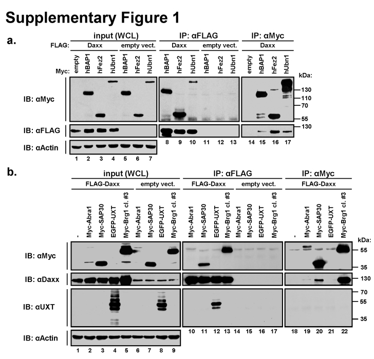 Fig. S1