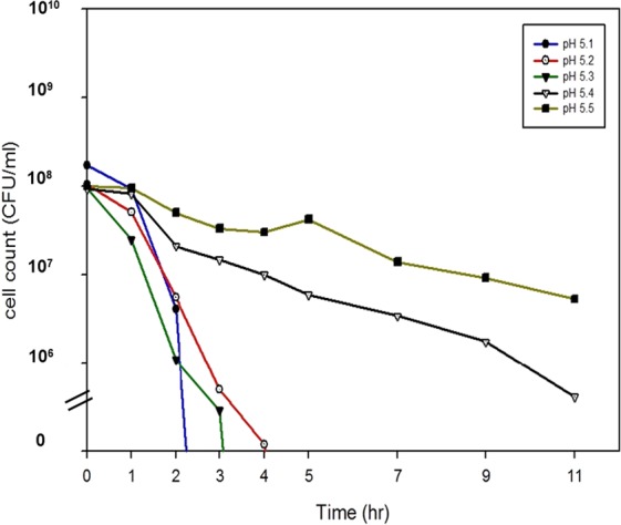 Figure 5