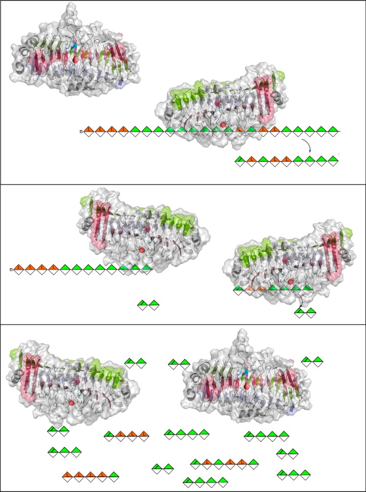 Figure 11.