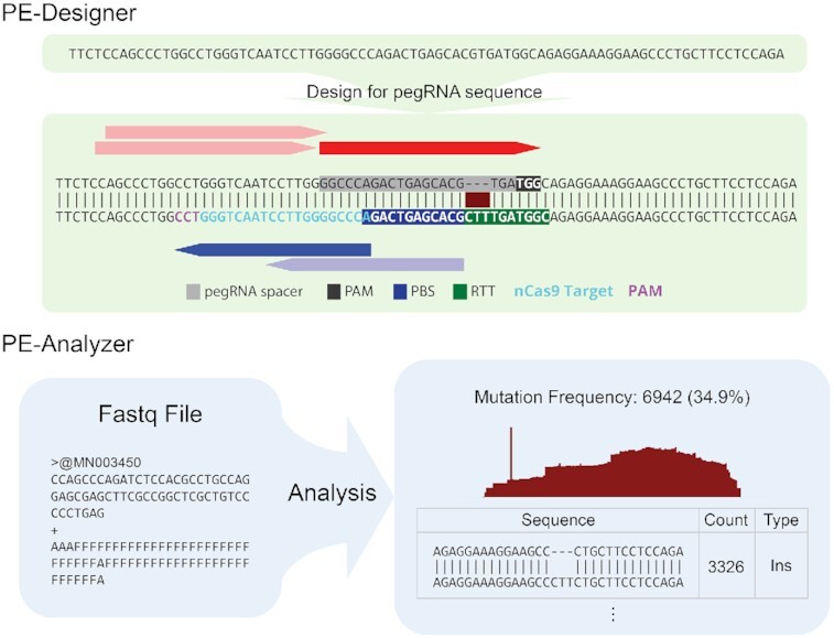 Graphical Abstract