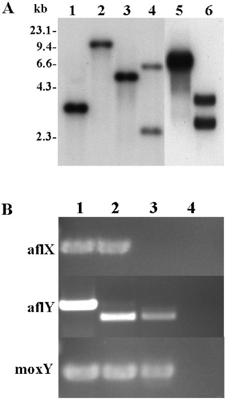 FIG. 3.