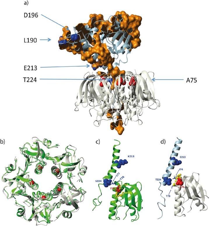 FIG 3