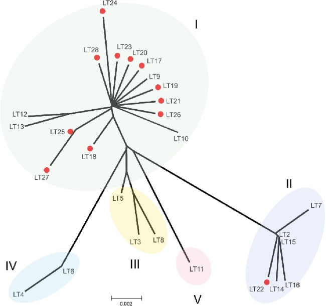 FIG 1