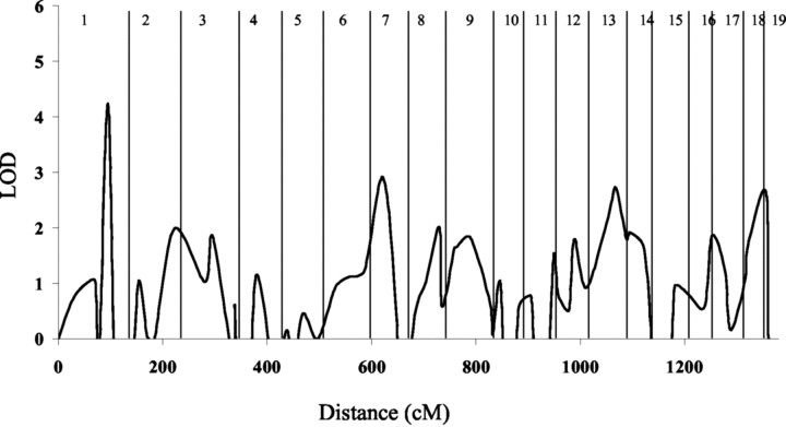 Fig. 5.
