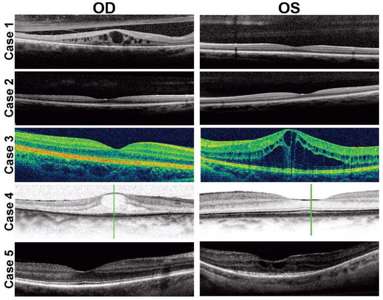 Fig. 3