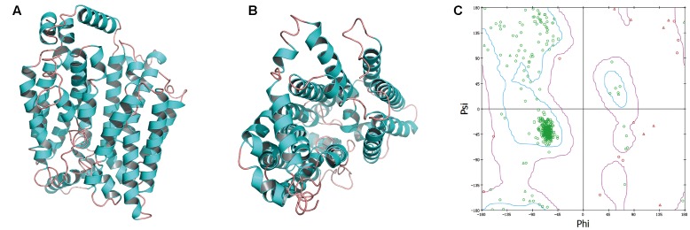 FIGURE 7