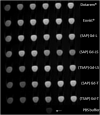 Fig. 9