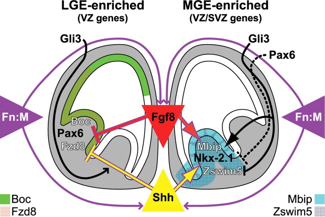 Figure 10.