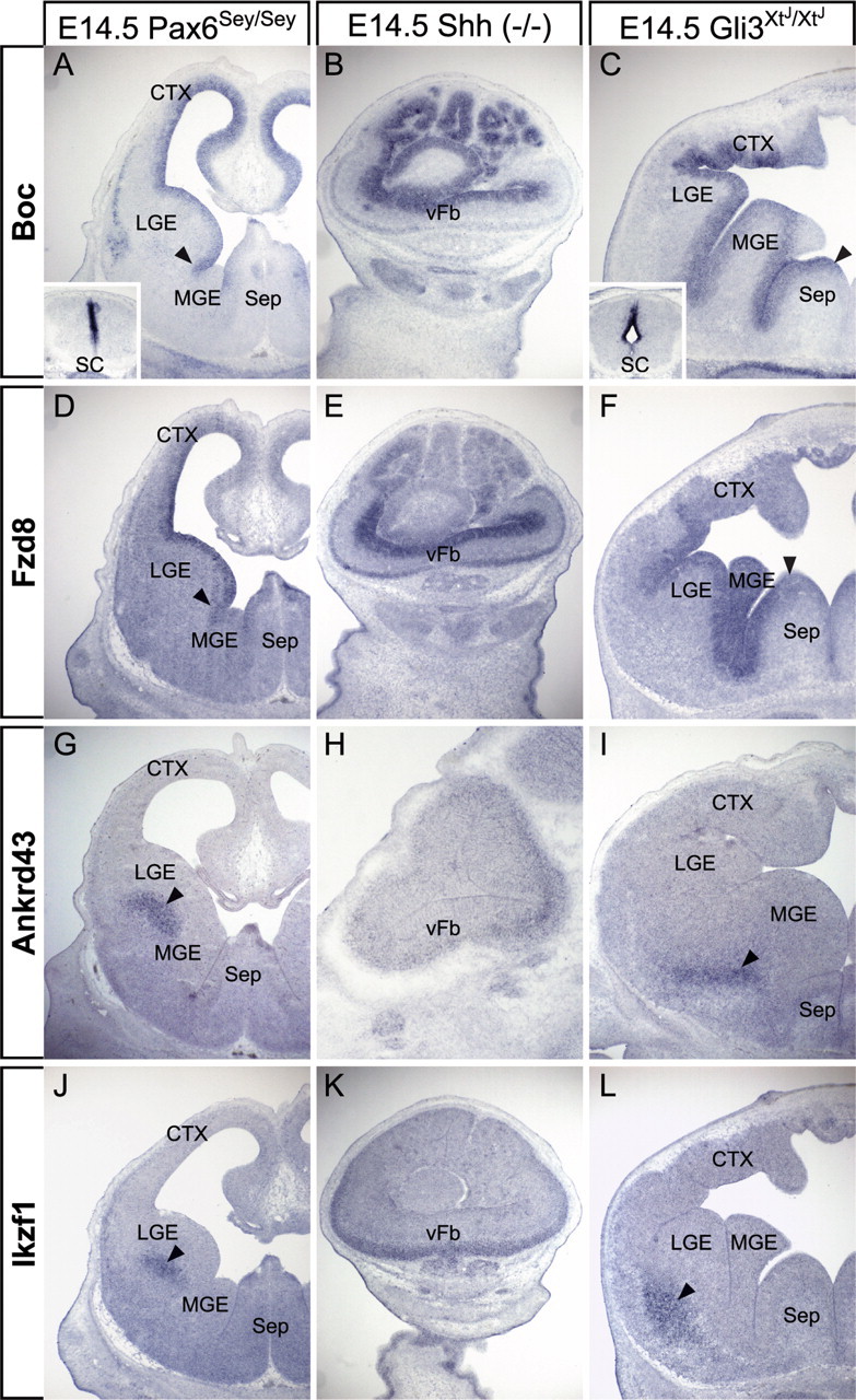 Figure 6.