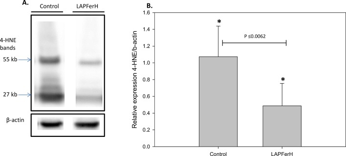 Fig 5