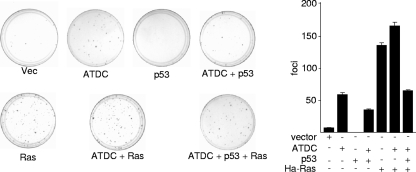 FIG. 6.