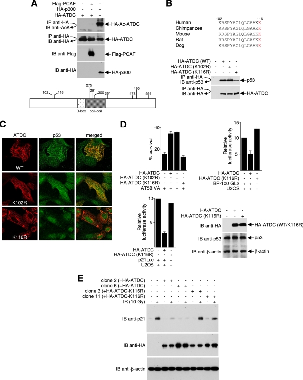 FIG. 7.