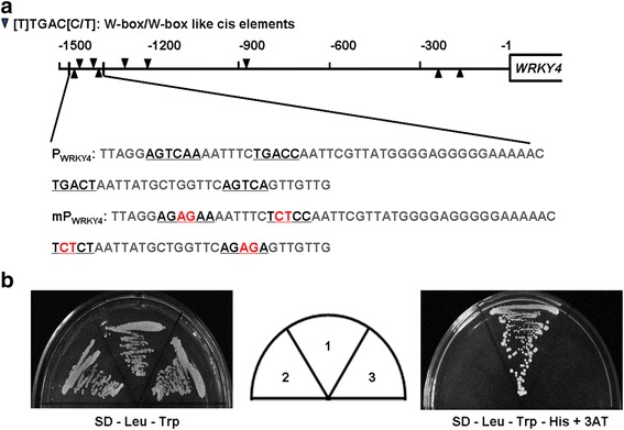 Fig. 10