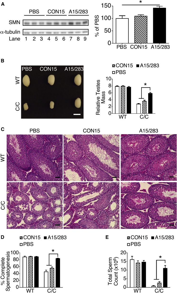 Figure 3