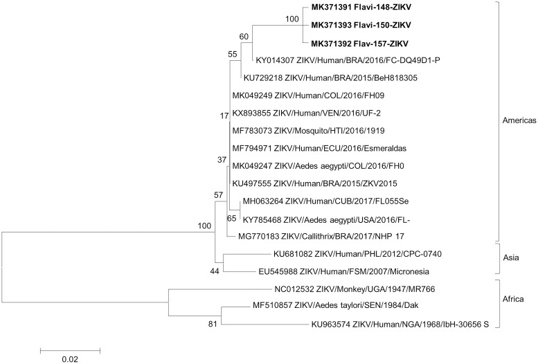 Fig 3