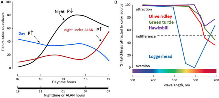 FIGURE 12