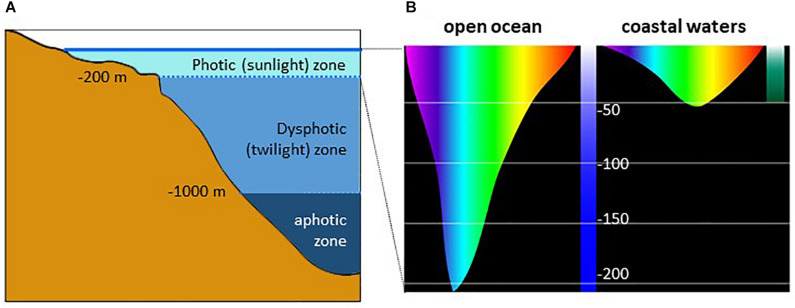 FIGURE 9