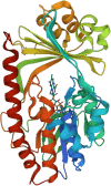 Fig. 15
