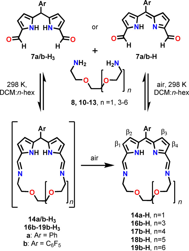 Scheme 2