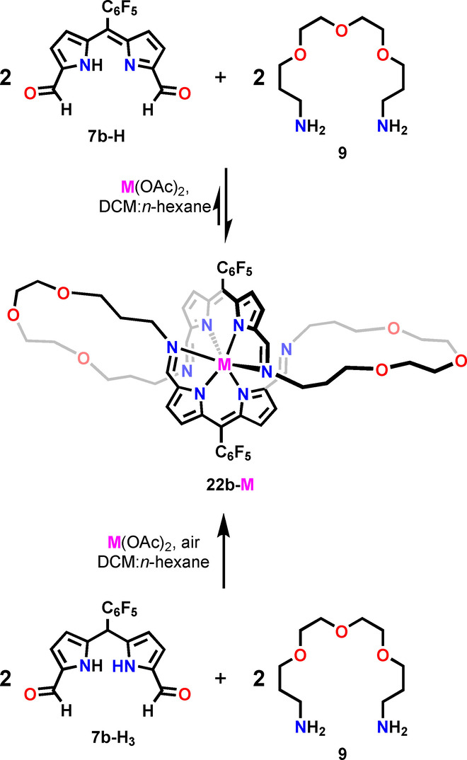 Scheme 5